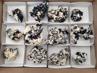 Natural Schorl Black Tourmaline With Hyalite Opal Specimens x 12 From Namibia