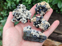 Natural Schorl Black Tourmaline With Hyalite Opal Specimens x 12 From Namibia