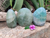 Polished Green Fluorite Standing Free Forms x 3 From Madagascar