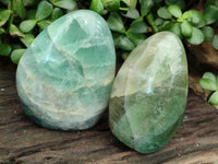 Polished Green Fluorite Standing Free Forms x 3 From Madagascar