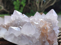 Natural Amethyst Spirit Quartz Clusters x 3 From Boekenhouthoek, South Africa