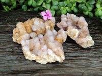 Natural Amethyst Spirit Quartz Clusters x 3 From Boekenhouthoek, South Africa