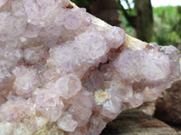 Natural Amethyst Cactus Spirit Quartz Cluster x 1 From Boekenhouthoek, South Africa