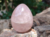 Polished Rose Quartz Standing Free Forms x 6 From Ambatondrazaka, Madagascar