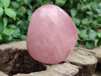 Polished Rose Quartz Standing Free Forms x 6 From Ambatondrazaka, Madagascar