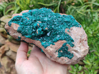 Natural Dioptase On Dolomite Specimens x 1 From Likasi, Congo