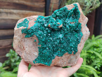 Natural Dioptase On Dolomite Specimens x 1 From Likasi, Congo