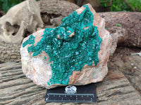 Natural Dioptase On Dolomite Specimens x 1 From Likasi, Congo