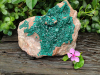 Natural Dioptase On Dolomite Specimens x 1 From Likasi, Congo