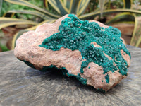 Natural Dioptase On Dolomite Specimens x 1 From Likasi, Congo