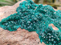 Natural Dioptase On Dolomite Specimens x 1 From Likasi, Congo