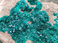 Natural Dioptase On Dolomite Specimens x 1 From Likasi, Congo