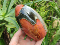 Polished Polychrome Jasper Standing Free Forms x 2 From Mahajanga, Madagascar