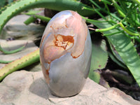 Polished Polychrome Jasper Standing Free Forms x 2 From Mahajanga, Madagascar