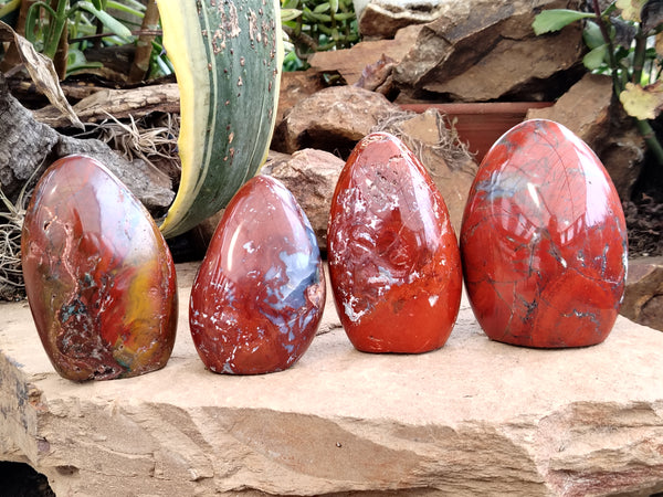 Polished Red Jasper Standing Free Forms x 4 From Madagascar