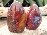 Polished Red Jasper Standing Free Forms x 4 From Madagascar