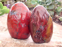 Polished Red Jasper Standing Free Forms x 4 From Madagascar