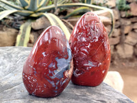 Polished Red Jasper Standing Free Forms x 4 From Madagascar