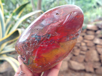 Polished Red Jasper Standing Free Forms x 4 From Madagascar