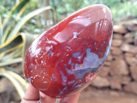 Polished Red Jasper Standing Free Forms x 4 From Madagascar