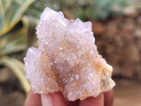 Natural Ametrine Spirit Quartz Clusters x 24 From Boekenhouthoek, South Africa