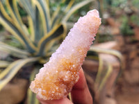 Natural Ametrine Spirit Quartz Clusters x 24 From Boekenhouthoek, South Africa