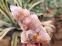 Natural Ametrine Spirit Quartz Clusters x 24 From Boekenhouthoek, South Africa