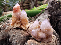 Natural Ametrine Spirit Quartz Clusters x 24 From Boekenhouthoek, South Africa