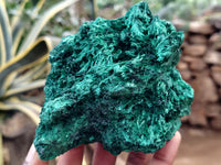 Natural Silky Malachite Specimens x 3 From Kasompe, Congo