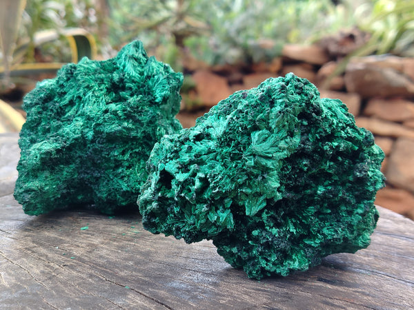 Natural Silky Malachite Specimens x 3 From Kasompe, Congo