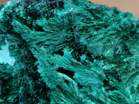 Natural Silky Malachite Specimens x 3 From Kasompe, Congo