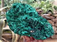 Natural Silky Malachite Specimens x 3 From Kasompe, Congo