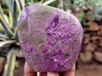 Polished Stichtite Standing Free Forms x 6 From Barberton, South Africa