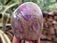 Polished Stichtite Standing Free Forms x 6 From Barberton, South Africa