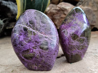 Polished Stichtite Standing Free Forms x 6 From Barberton, South Africa