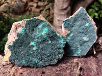 Natural Botryoidal Malachite Specimens x 2 From Tenke Fungurume, Congo