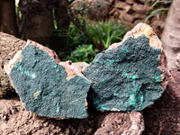 Natural Botryoidal Malachite Specimens x 2 From Tenke Fungurume, Congo