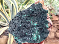 Natural Botryoidal Malachite Specimens x 2 From Tenke Fungurume, Congo