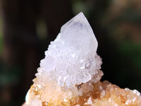 Natural Ametrine Spirit Quartz Clusters x 72 From Boekenhouthoek, South Africa