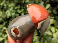 Polished Polychrome Jasper Mushrooms x 6 From Mahajanga, Madagascar