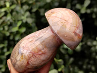 Polished Polychrome Jasper Mushrooms x 6 From Mahajanga, Madagascar