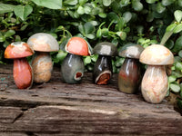 Polished Polychrome Jasper Mushrooms x 6 From Mahajanga, Madagascar