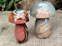 Polished Polychrome Jasper Mushrooms x 6 From Mahajanga, Madagascar