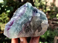 Natural Watermelon Fluorite Cobbed Specimens x 4 From Uis, Namibia