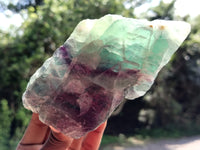 Natural Watermelon Fluorite Cobbed Specimens x 4 From Uis, Namibia