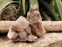 Natural Smokey Phantom Quartz Clusters x 2 From Luena, Congo