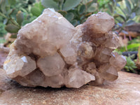 Natural Smokey Phantom Quartz Clusters x 2 From Luena, Congo