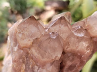 Natural Smokey Phantom Quartz Clusters x 2 From Luena, Congo