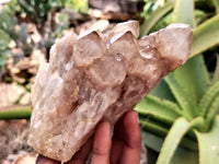 Natural Smokey Phantom Quartz Clusters x 2 From Luena, Congo