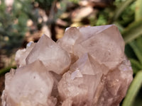 Natural Smokey Phantom Quartz Clusters x 2 From Luena, Congo